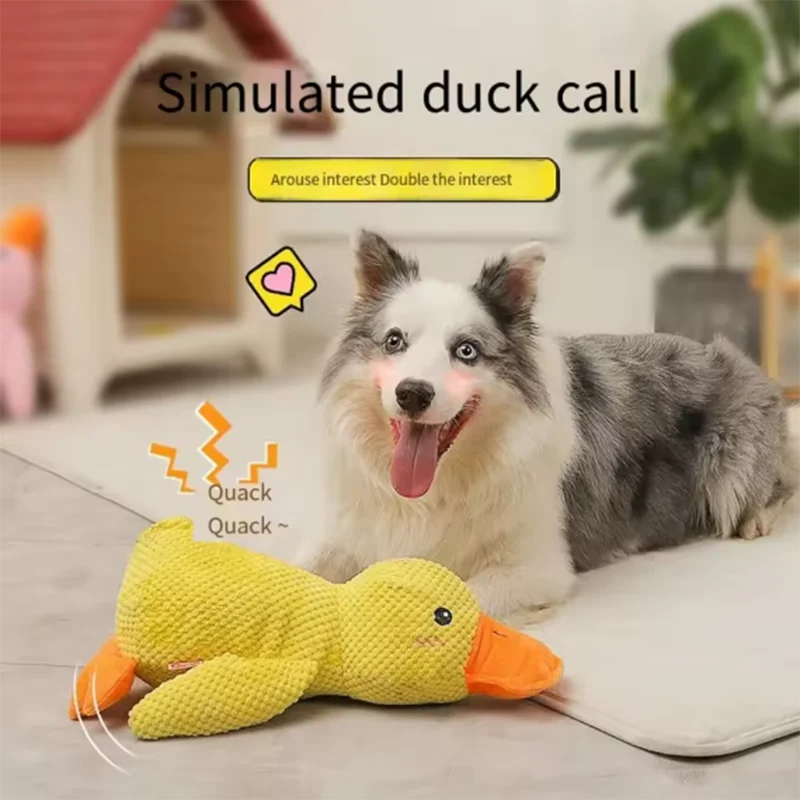 dog sleeping with a dog hug duck toys to relieve boredom of little yellow duck pet interactive plush doll pet supplies dog sleeping with a dog hug duck toys to relieve boredom of little yellow duck pet interactive plush doll pet supplies