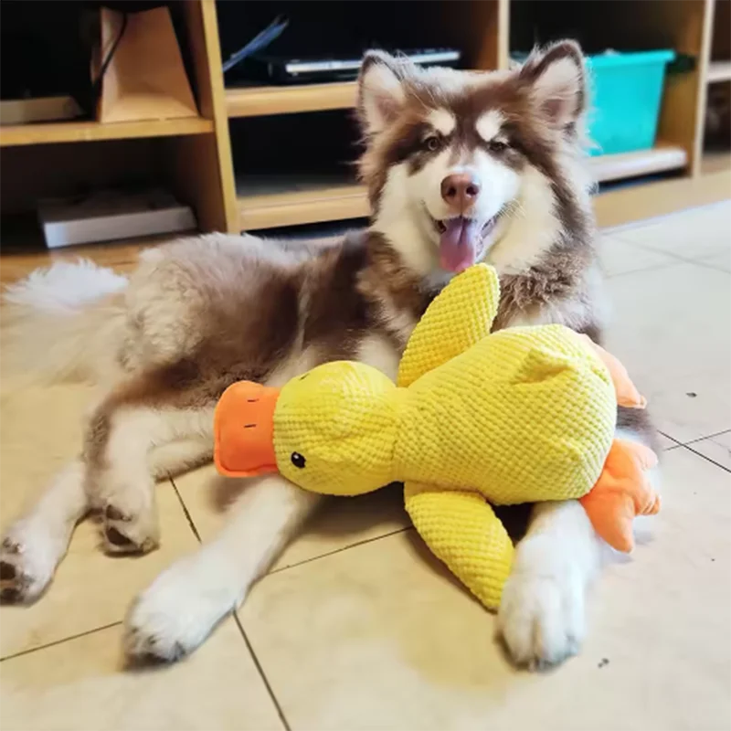 dog sleeping with a dog hug duck toys to relieve boredom of little yellow duck pet interactive plush doll pet supplies dog sleeping with a dog hug duck toys to relieve boredom of little yellow duck pet interactive plush doll pet supplies